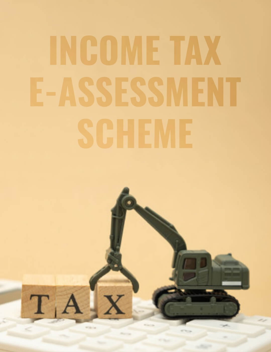 Income Tax E-Assessment Scheme